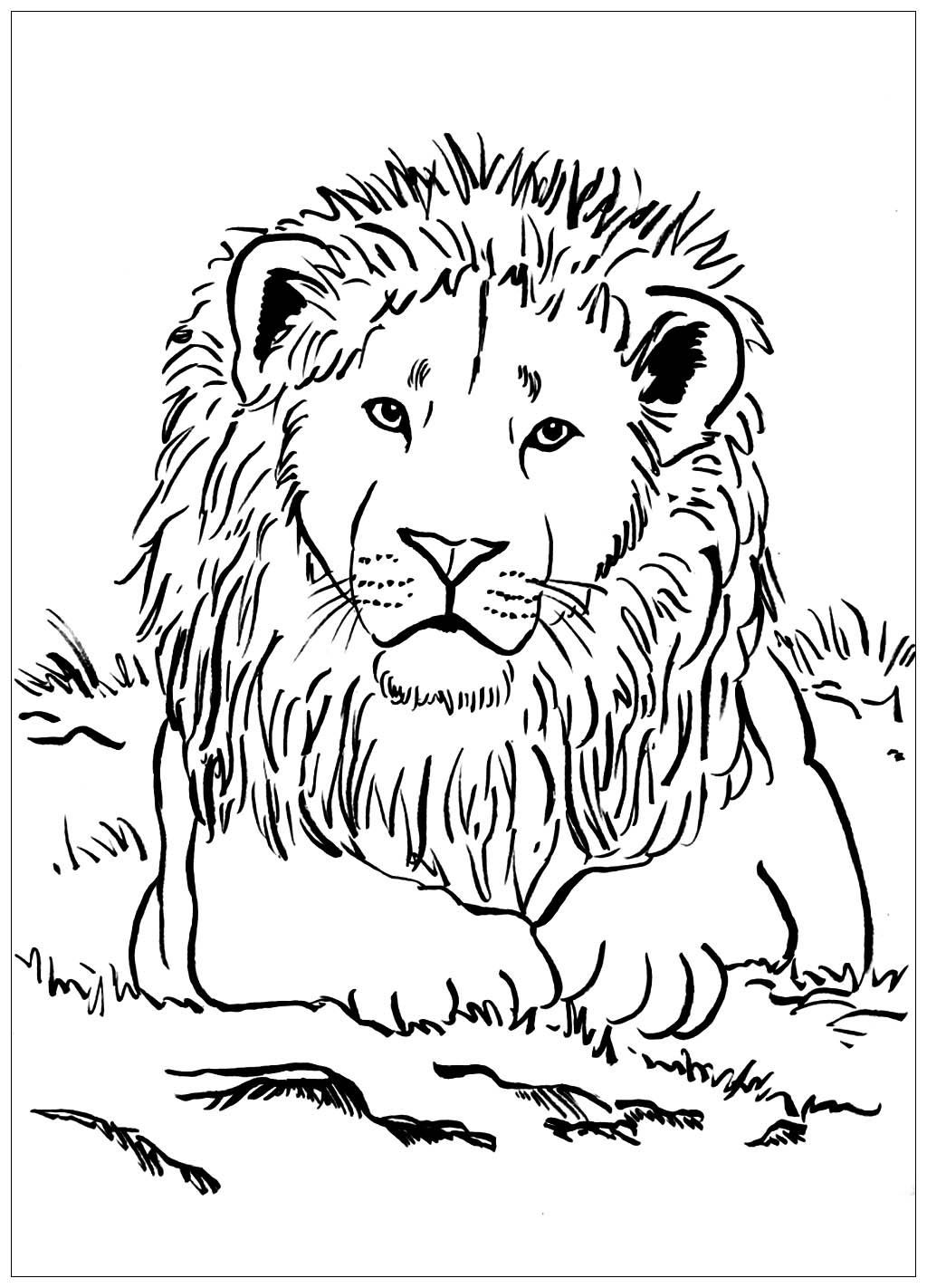 Coloriage de lion allongé.
