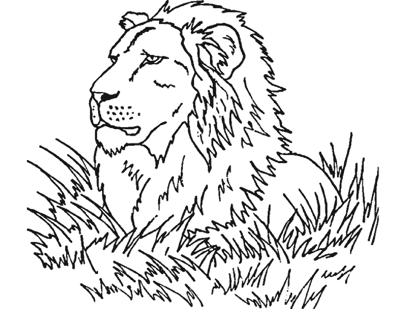 Lion caché (Coloriage à imprimer pour enfants)