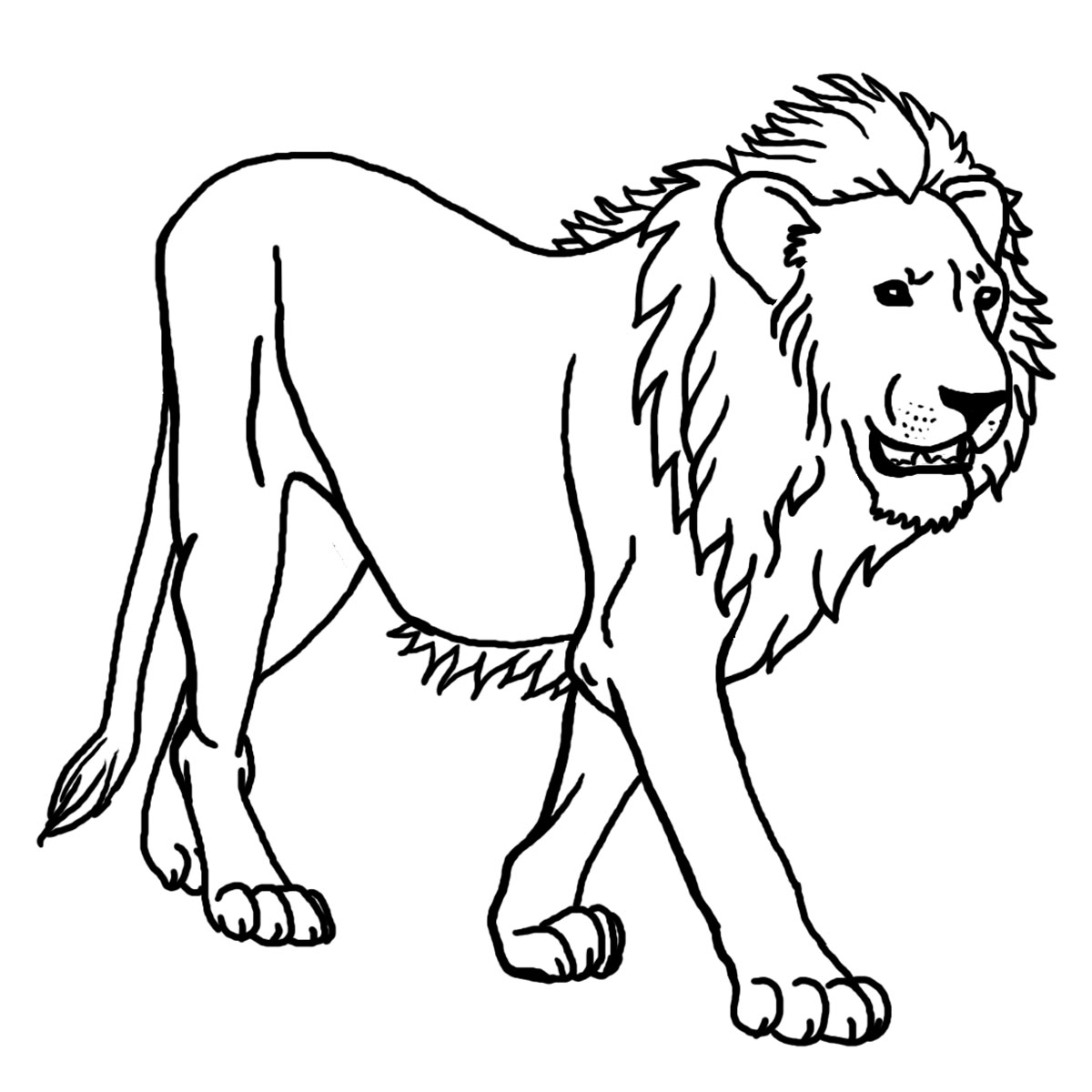 Joli dessin de lion à colorier