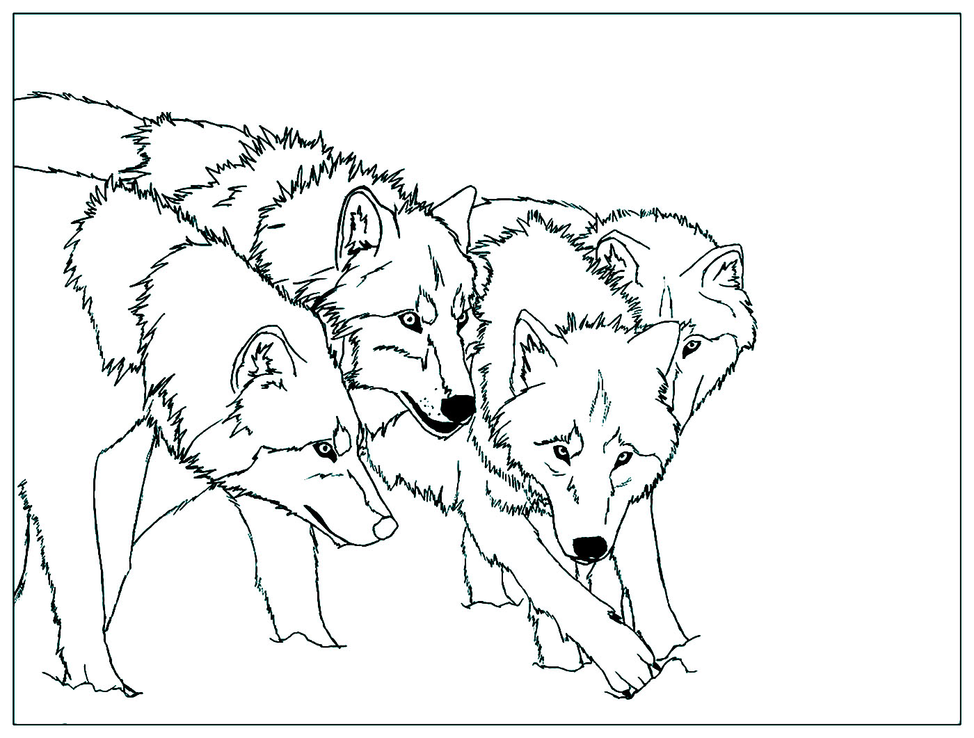 Dessin De Loups Qui Courent