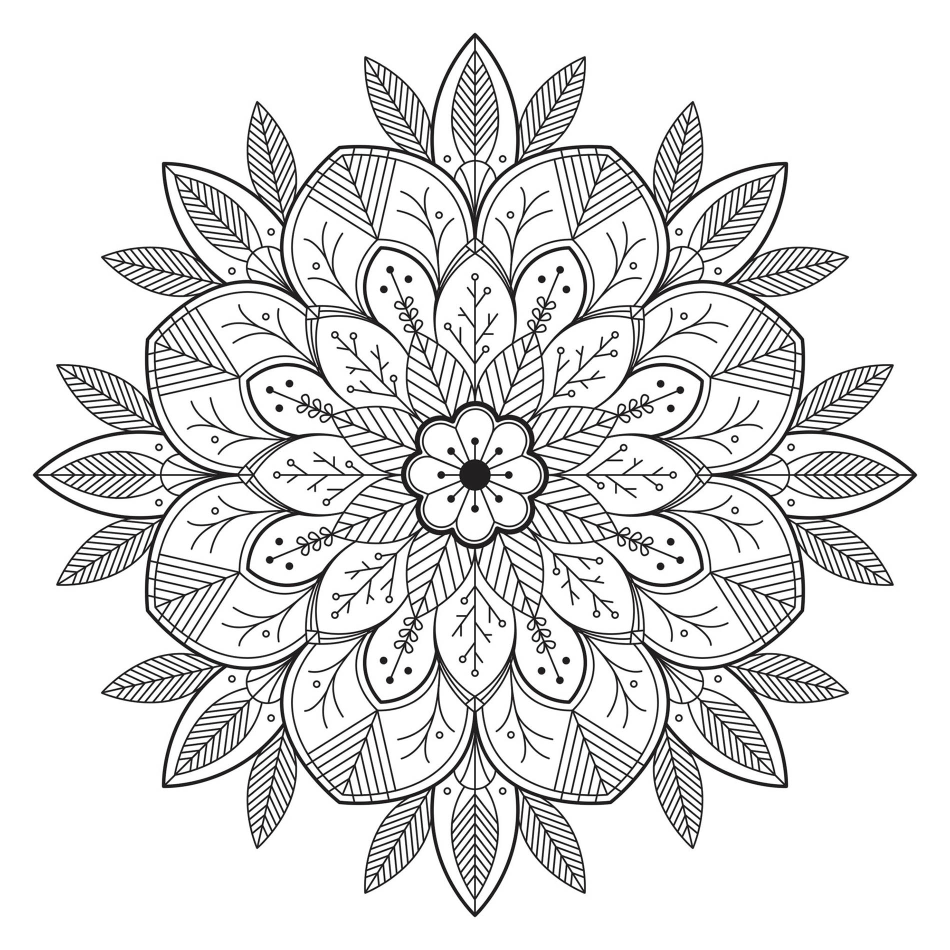 Un magnifique Mandala avec fleurs et feuilles