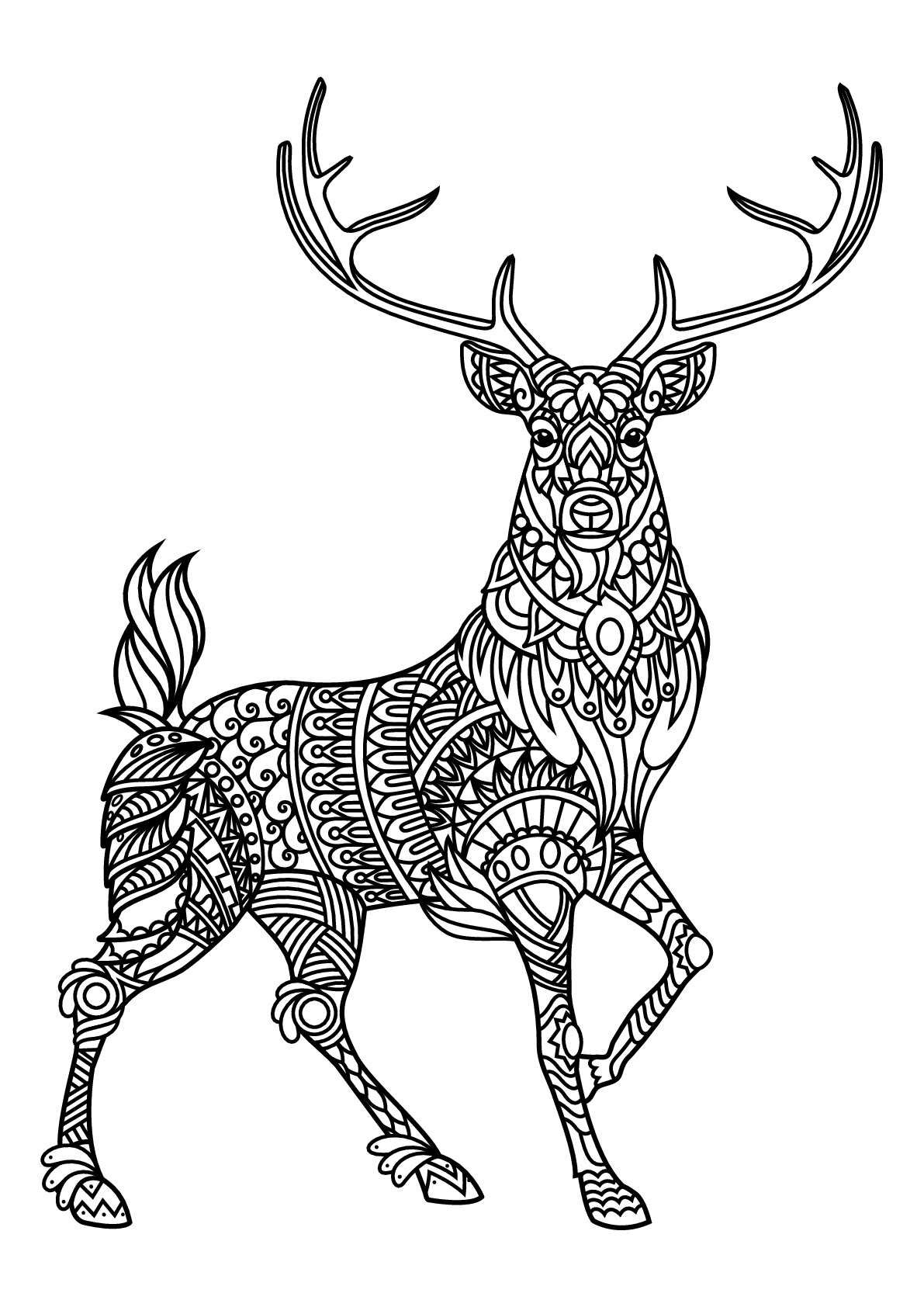 Cerf, avec motifs harmonieux et complexes