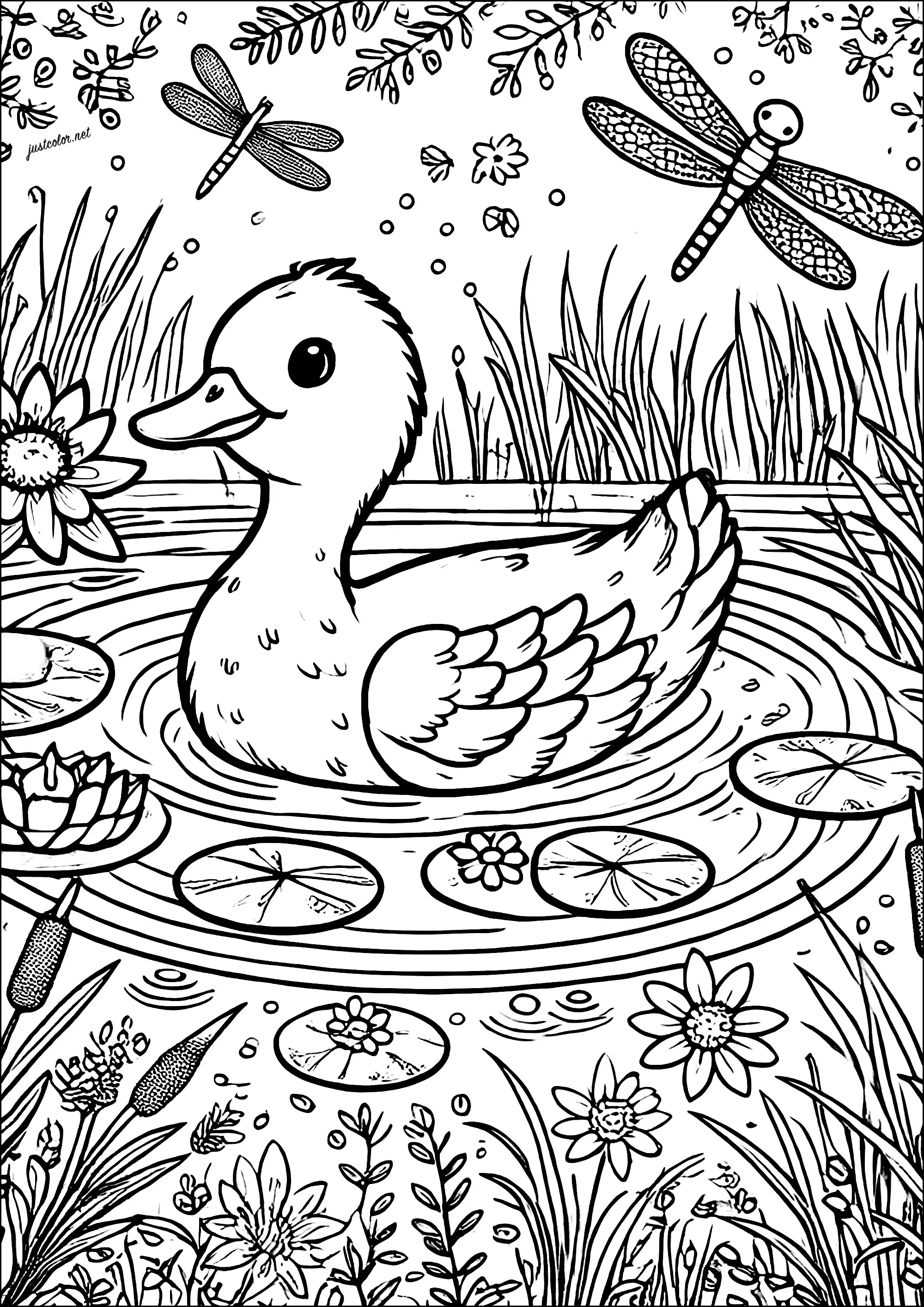 Jeune canard dans la mare avec des libellules (Coloriage d'Oiseaux à imprimer pour enfants)