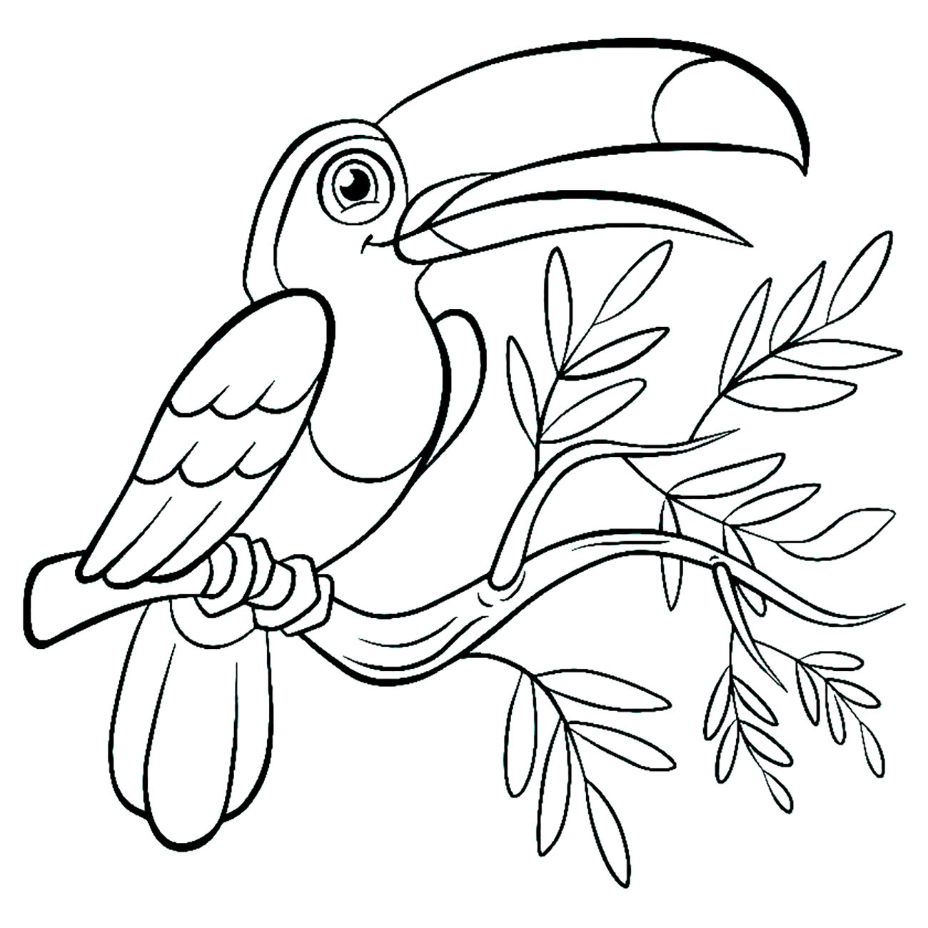 Un beau toucan sur sa branche feuillue