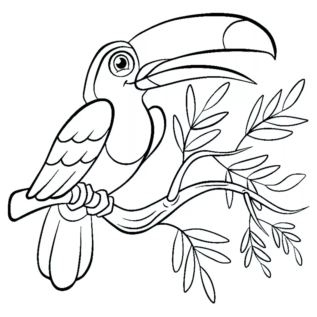 Toucan (Coloriage d'Oiseaux à imprimer pour enfants)