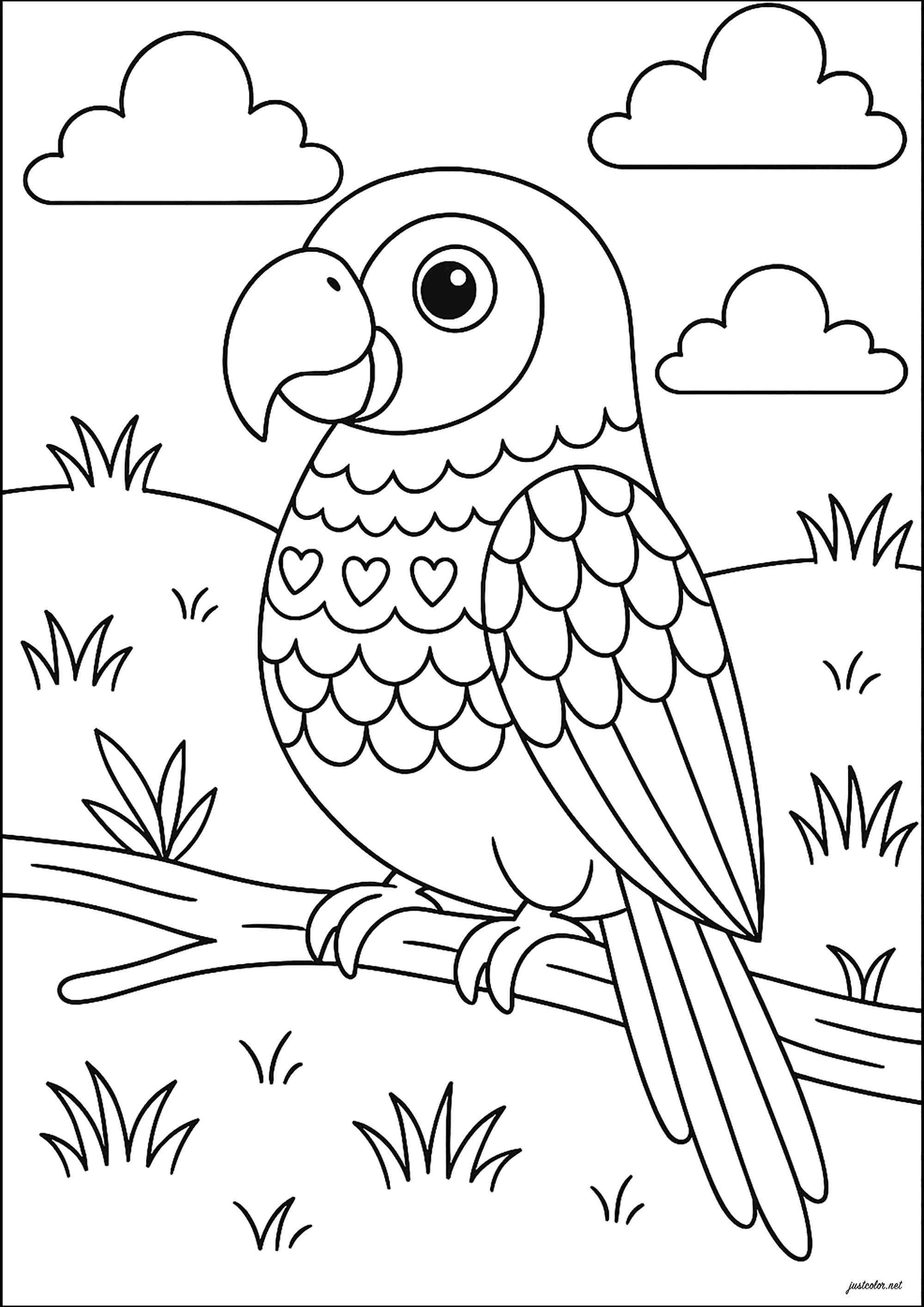 Joli perroquet, simple à colorier (Oiseaux)