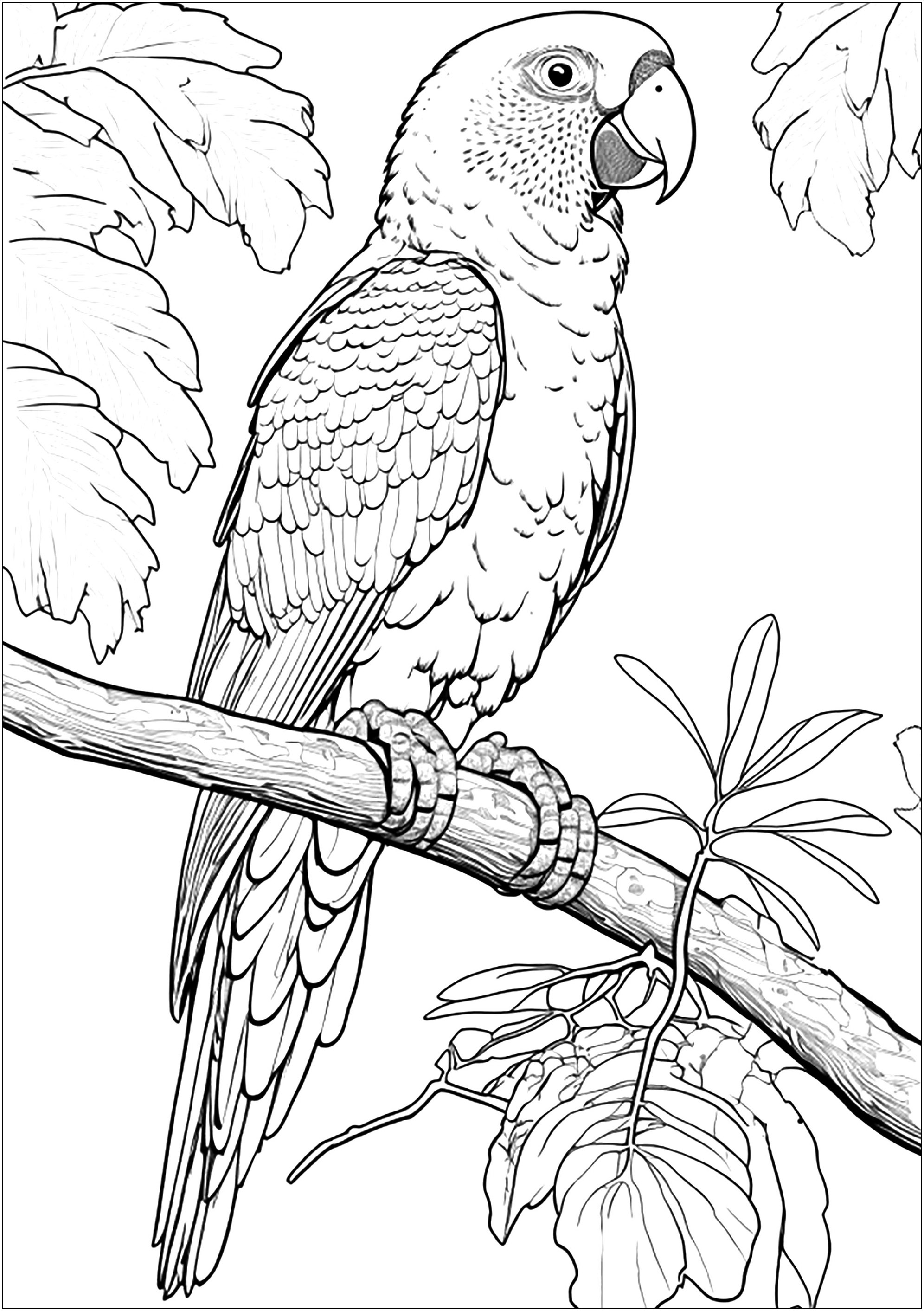 Coloriage d'un perroquet amazone. Un Perroquet du genre Amazone (amazone) dessiné de manière très réaliste, entouré d'une jolie végétation.