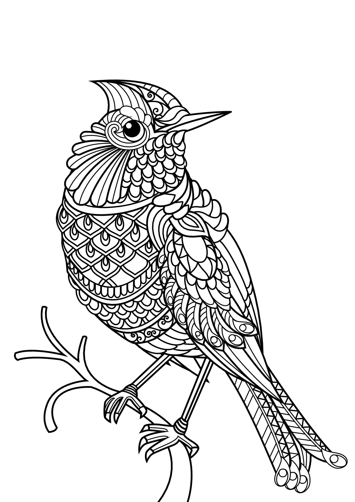 Oiseau (Coloriage d'Oiseaux à imprimer pour enfants)