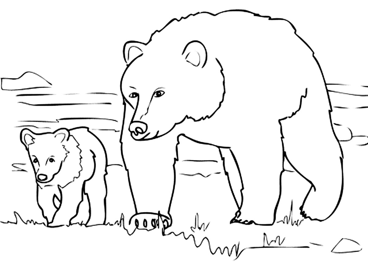 Maman ours et son bébé se promènent