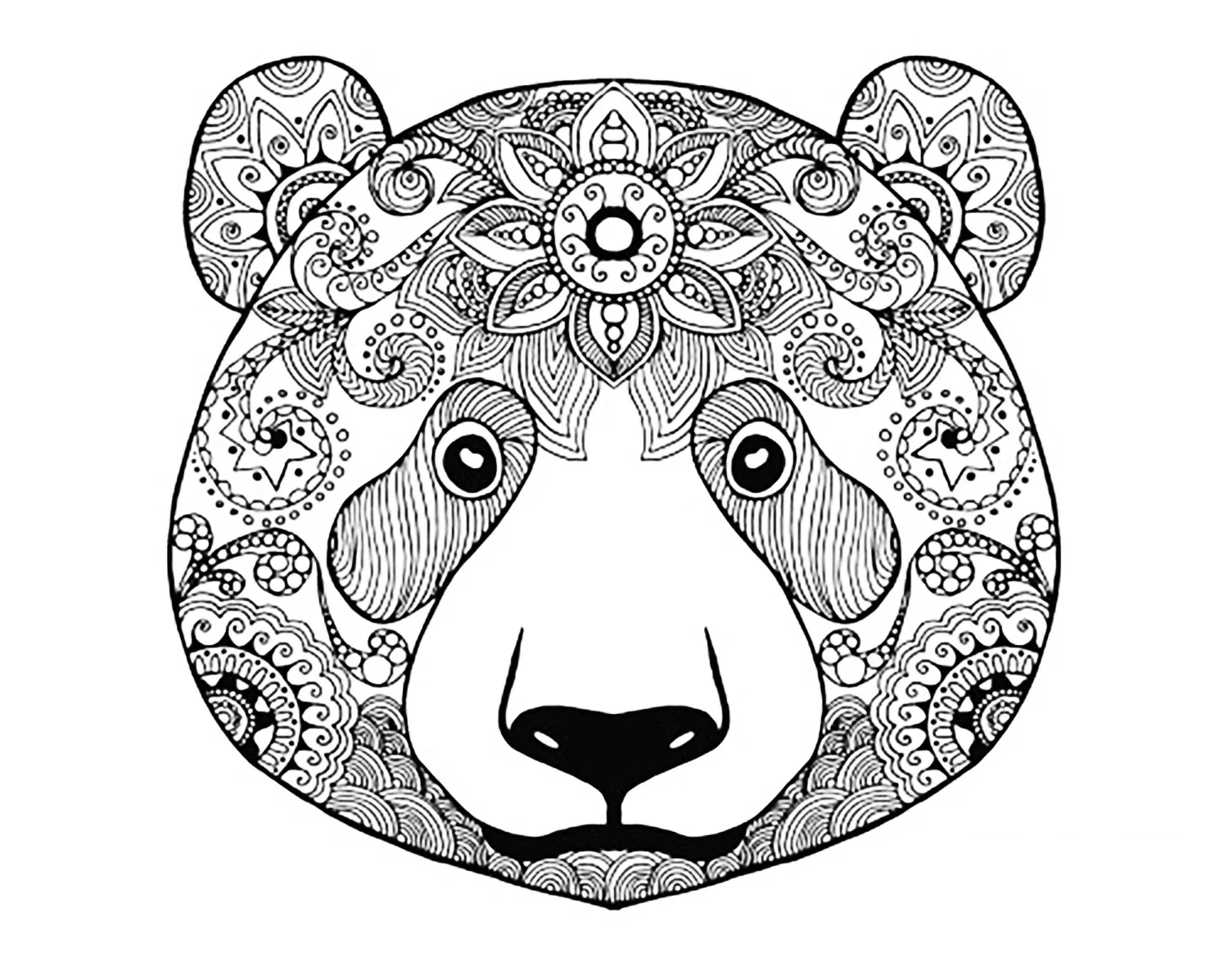 Tête d'Ours (Coloriage d'Ours et Oursons à imprimer pour enfants)