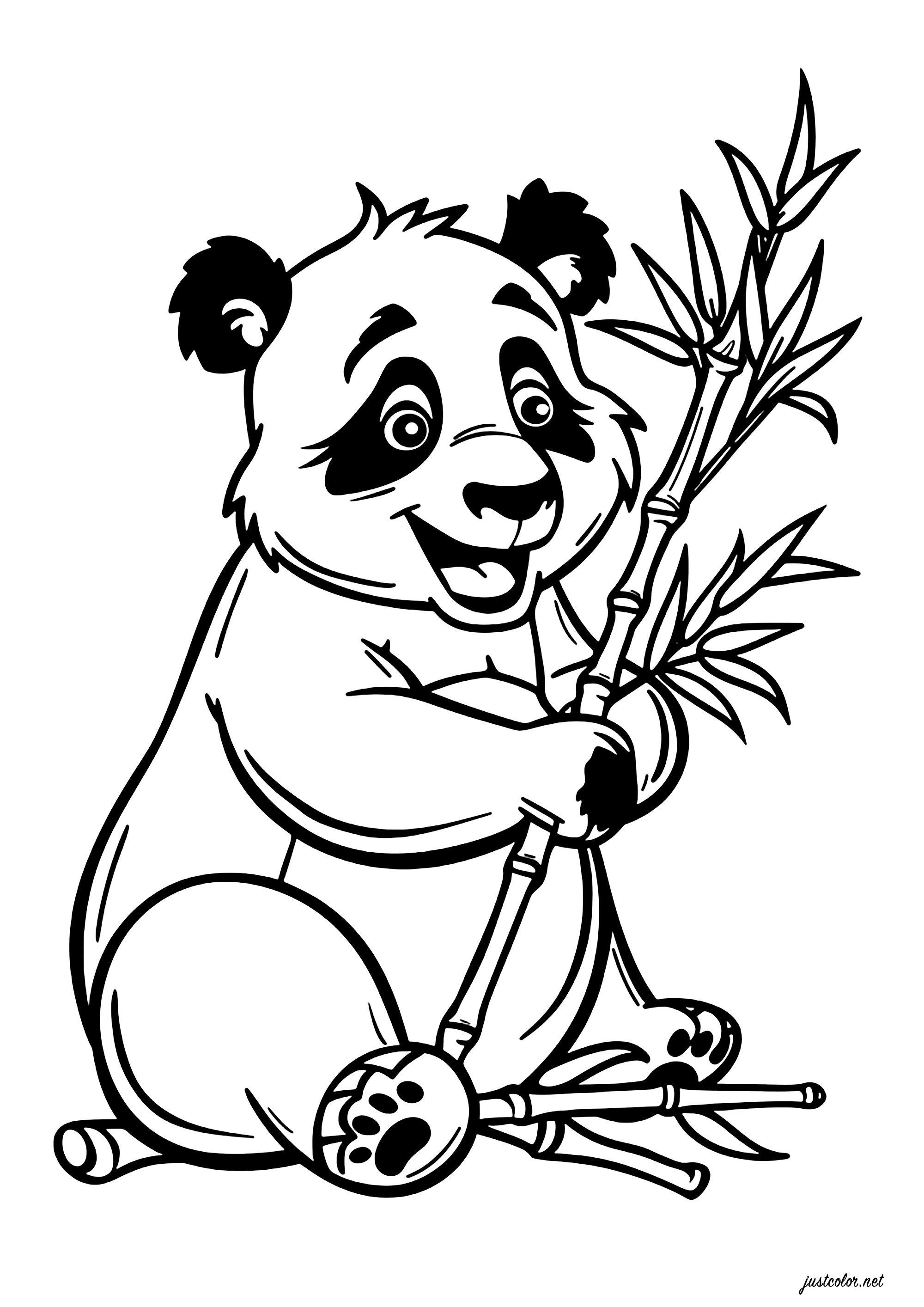 Jeune panda qui mange du bambou. Afin d'ingérer environ 20 kg quotidiennement tout en optimisant l'absorption des nutriments, le panda sélectionne uniquement les parties tendres du bambou, qu'il mâche méticuleusement pendant de longues périodes.Cela représente un investissement considérable en temps pour sa nutrition quotidienne !