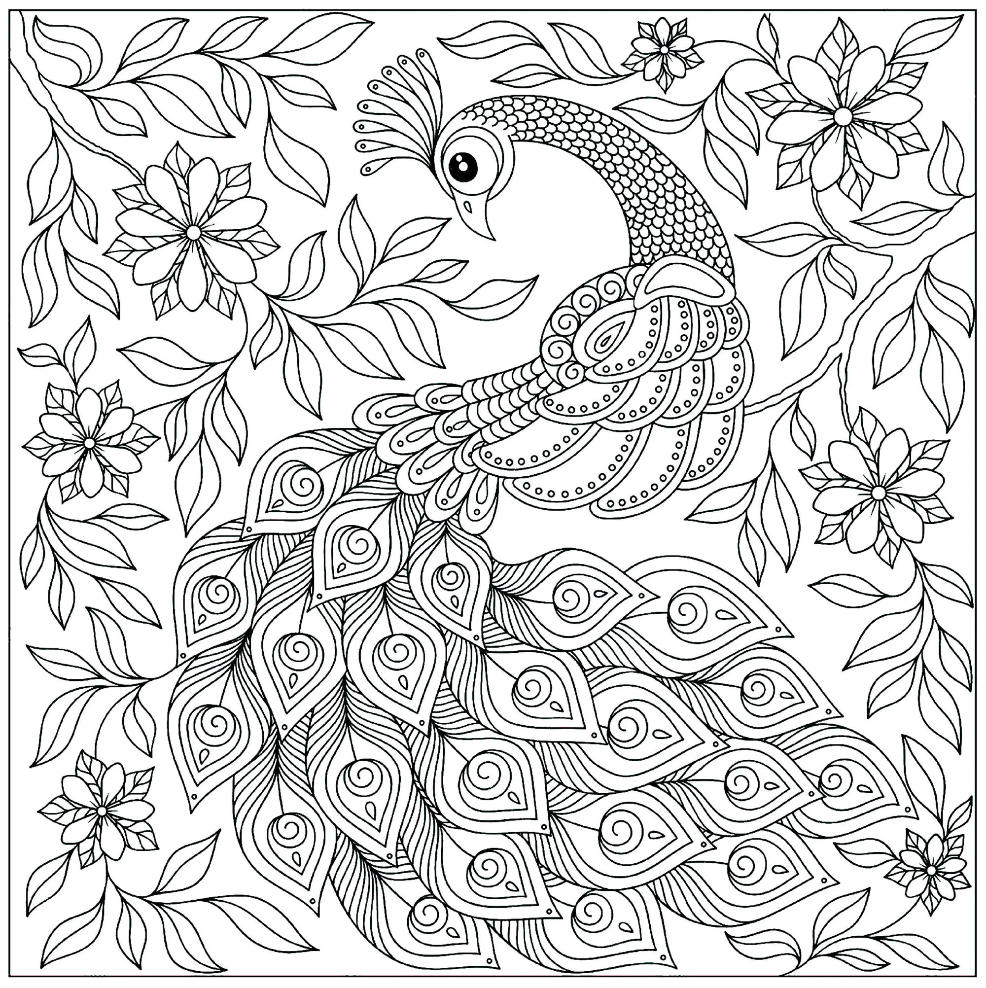 Joli paon (Coloriage à imprimer pour enfants)