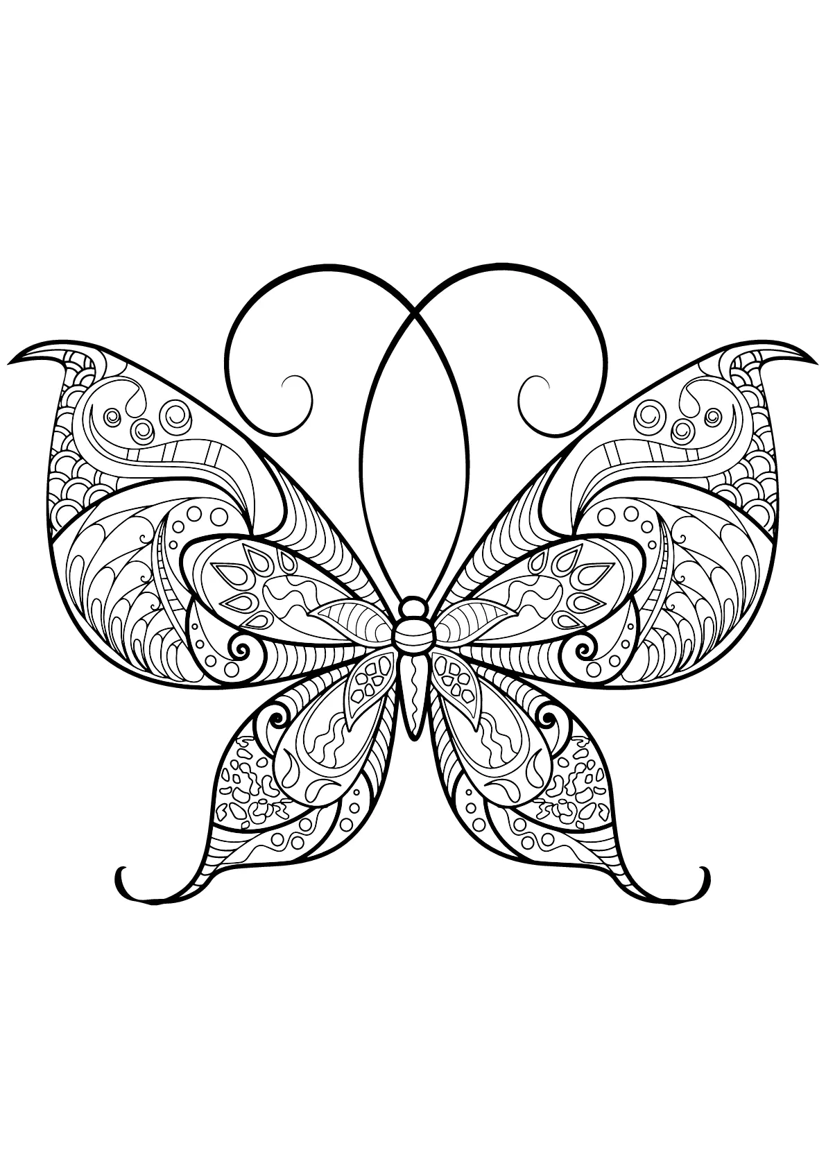 Dessin de Papillons gratuit à télécharger et colorier