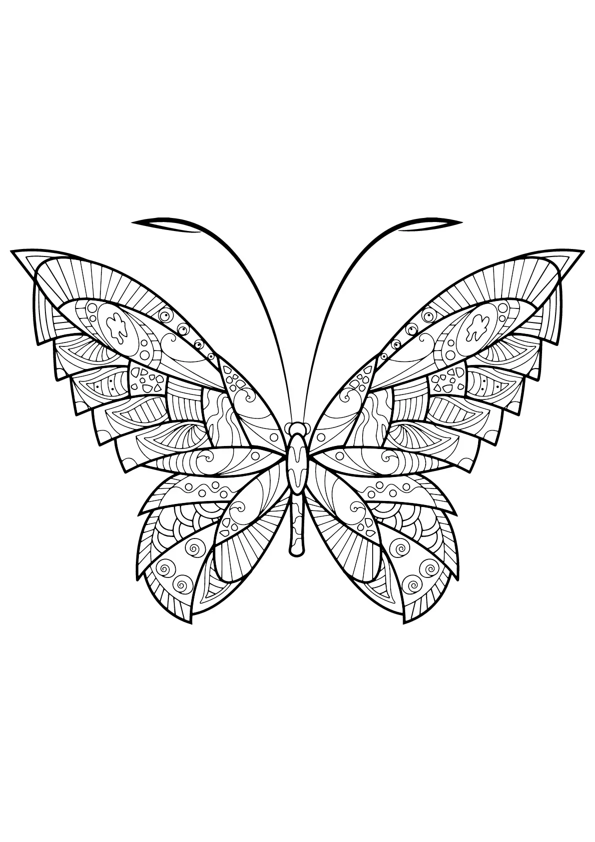 Coloriage de Papillons à imprimer