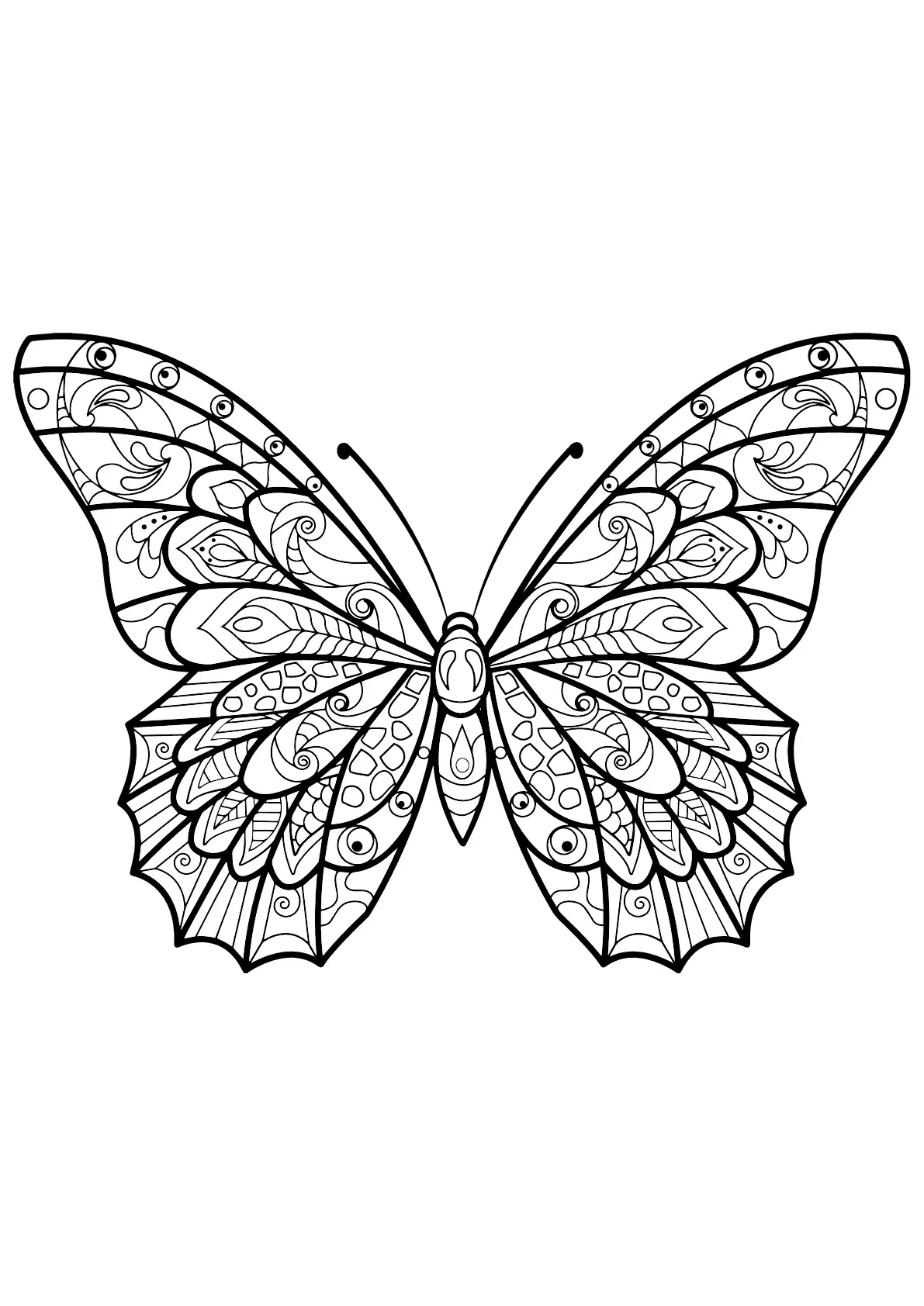 Dessin de Papillons gratuit à télécharger et colorier