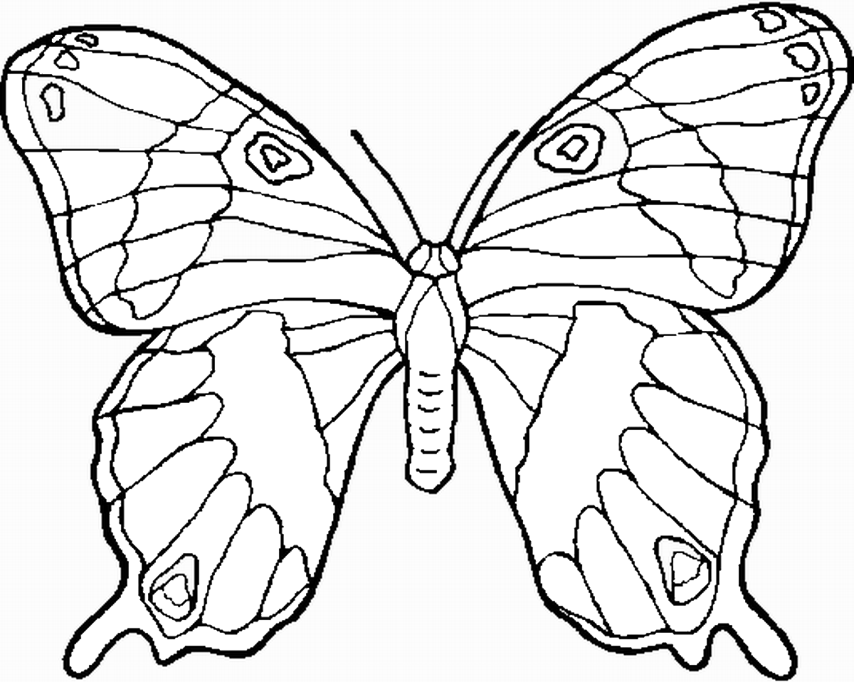 Coloriage sympa de Papillons à imprimer et colorier