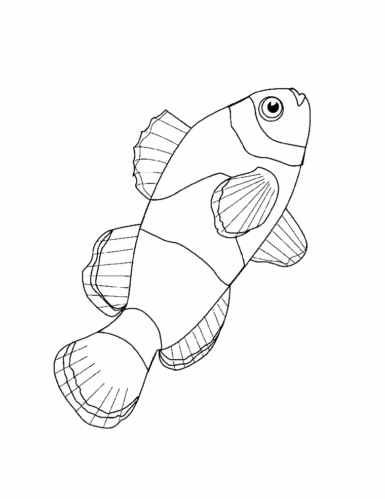 Coloriage de poissons à imprimer
