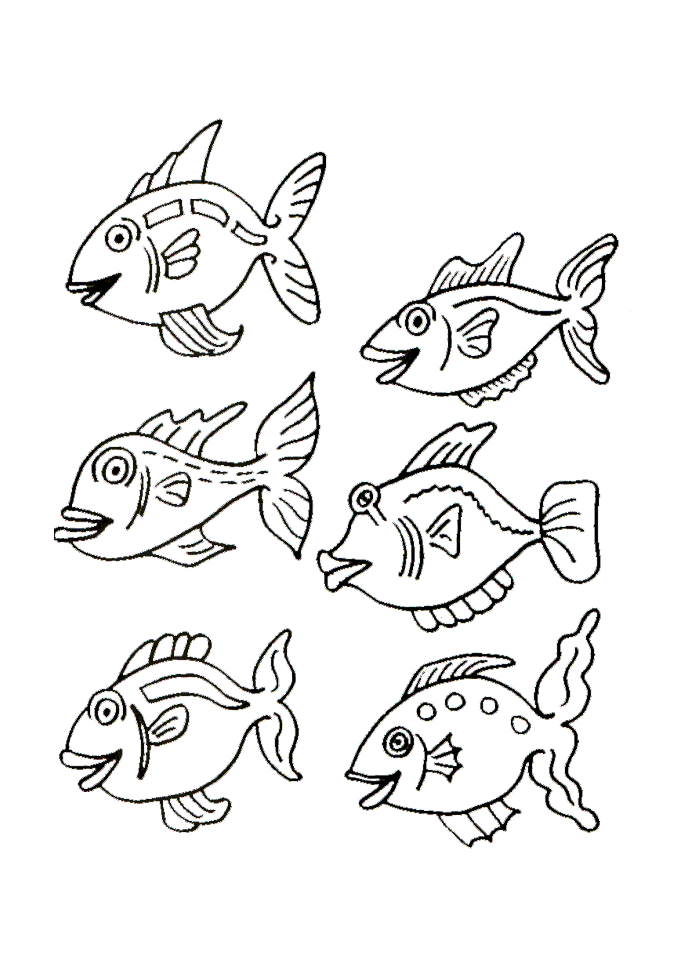 6 poissons