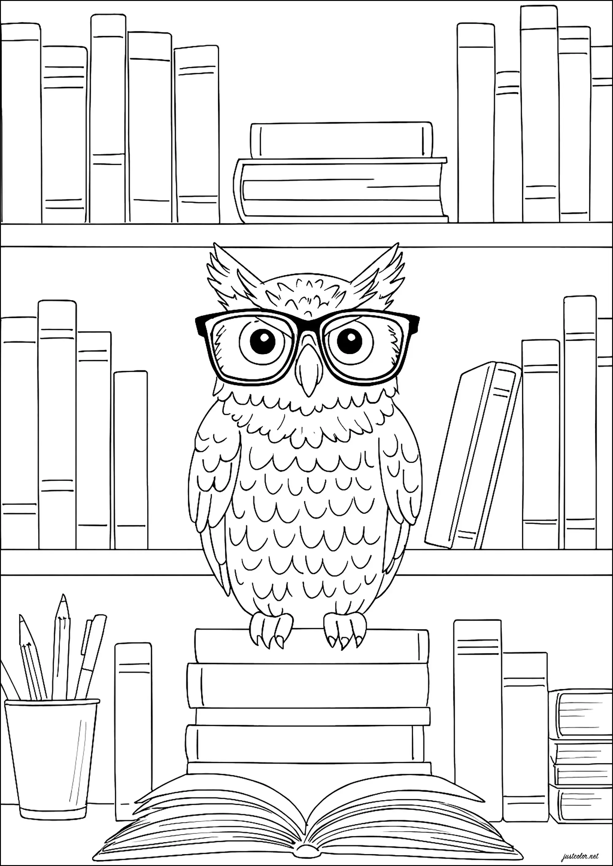 Livres scolaires et une chouette (Coloriage de Rentrée des classes à imprimer pour enfants)