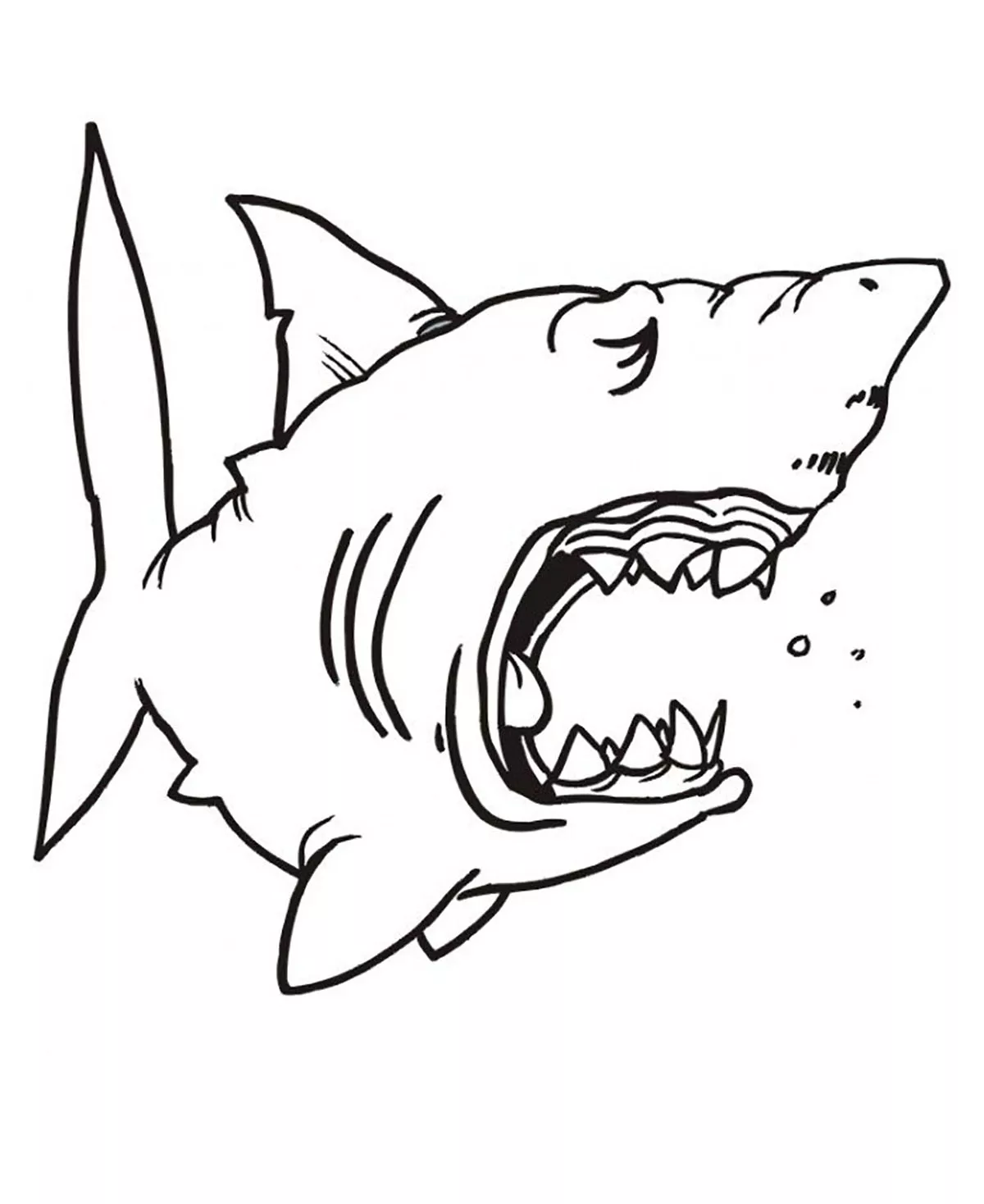 Requin endormi (Coloriage à imprimer pour enfants)