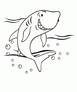 Dessin de requin gratuit à imprimer et colorier