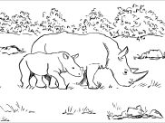 Coloriages Rhinocéros faciles pour enfants