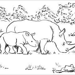 Coloriages de Rhinocéros à imprimer pour enfants