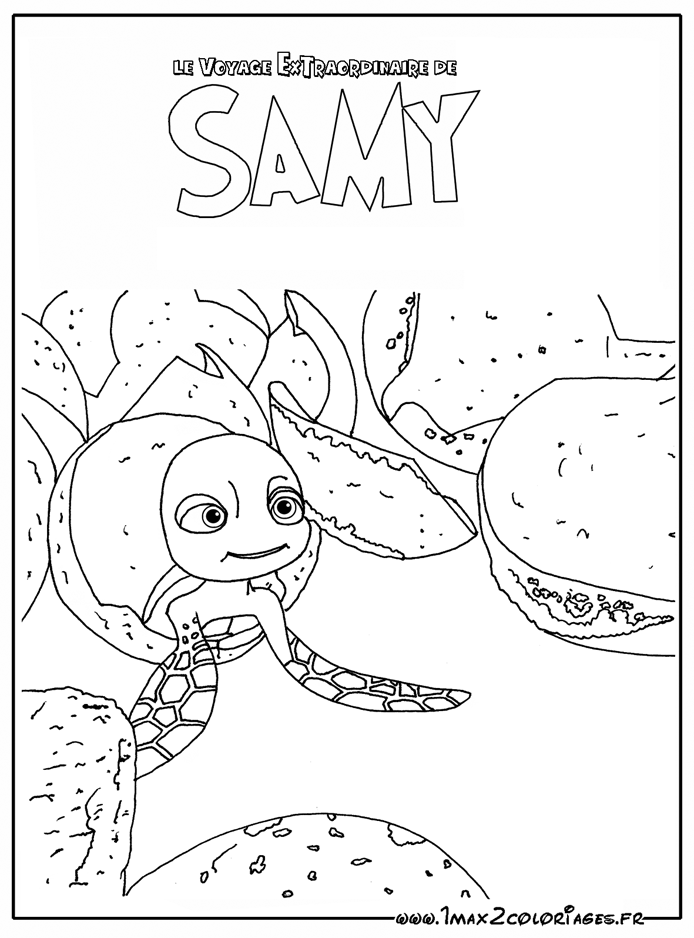 Samy la tortue et un crabe