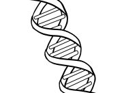 Coloriages de Science à imprimer pour enfants
