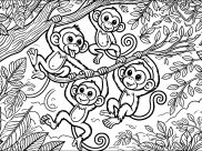Coloriages de Singes à imprimer pour enfants