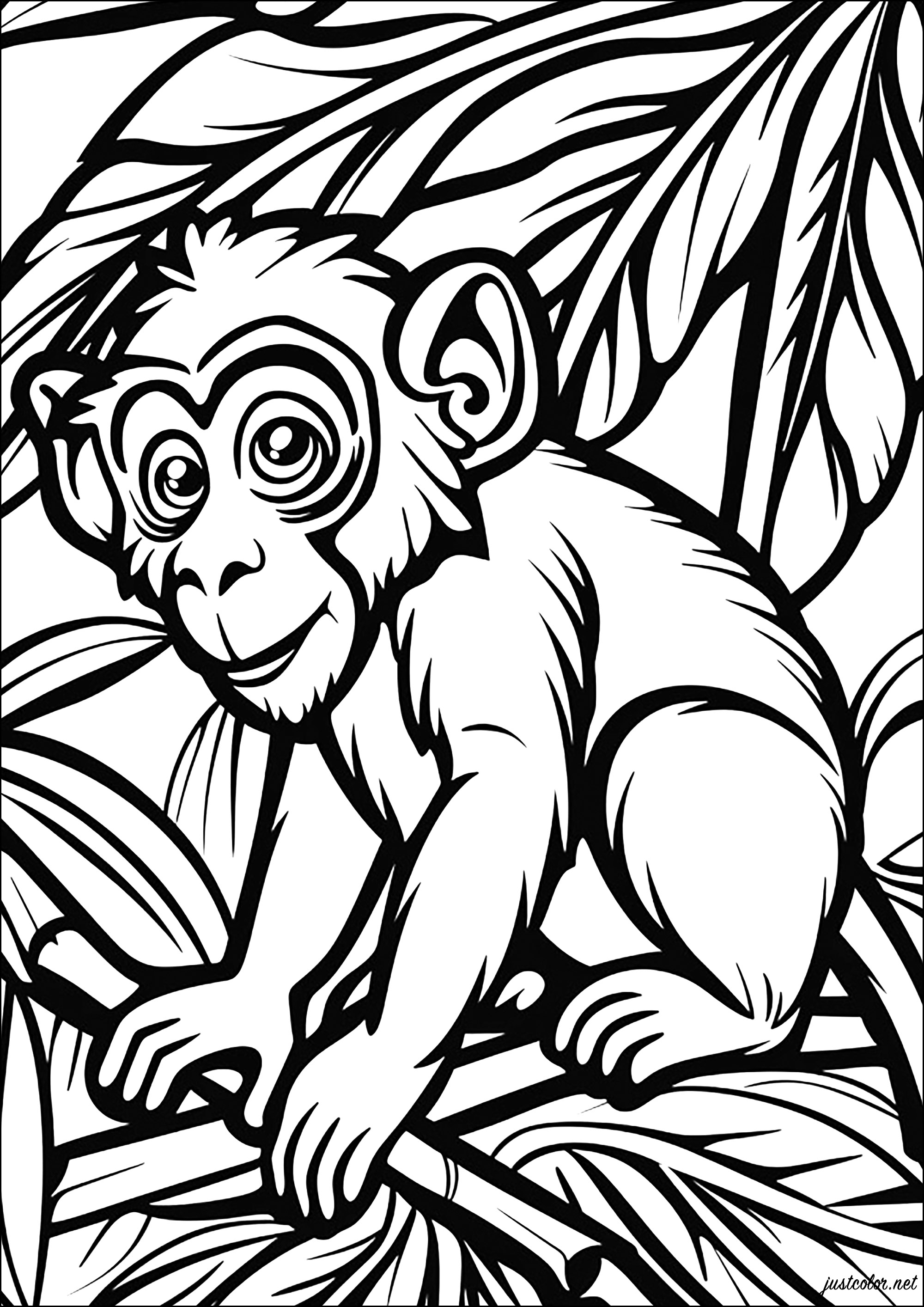 Petit singe dans la jungle. Un coloriage aux lignes très épaisses, qui vous transportera dans la jungle !