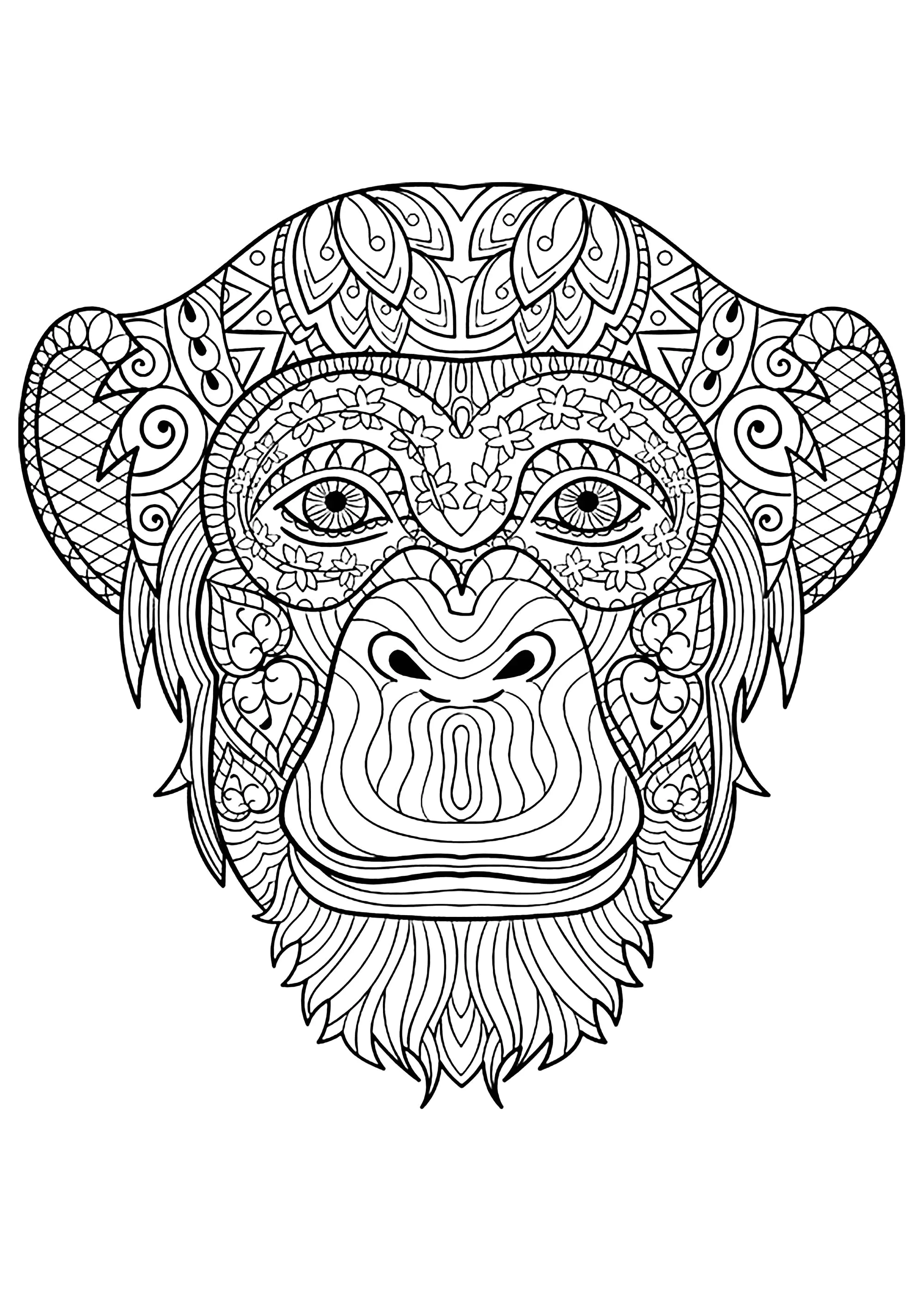 Coloriage de singe à imprimer pour enfants