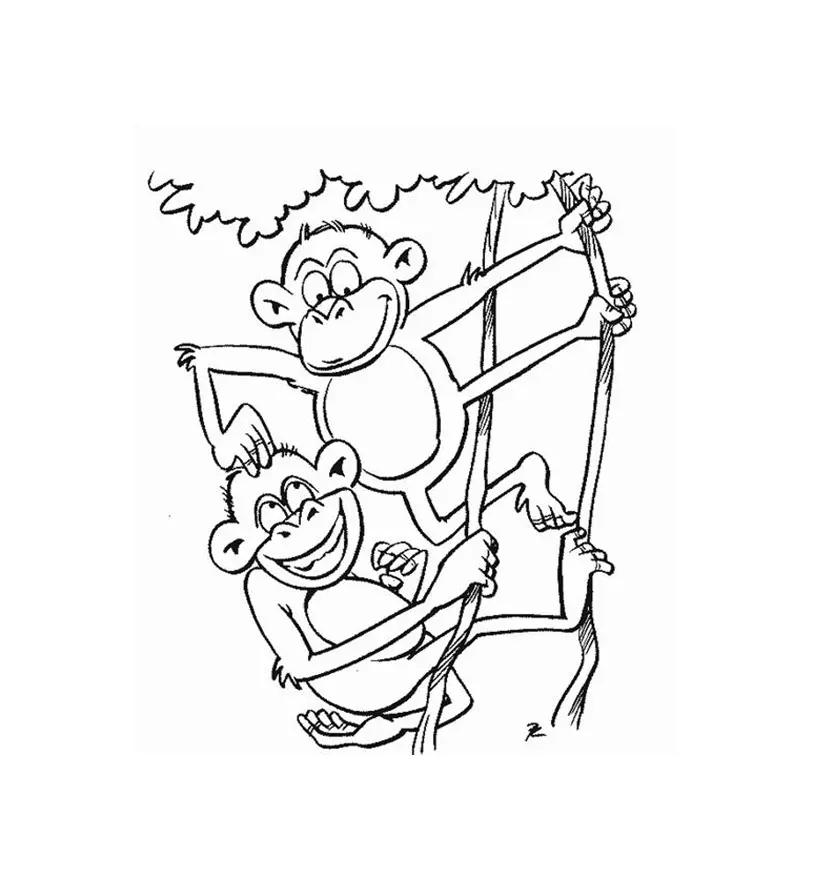 Dessin de singe gratuit à télécharger et colorier