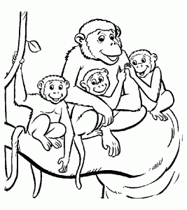 Coloriage de singe à colorier pour enfants