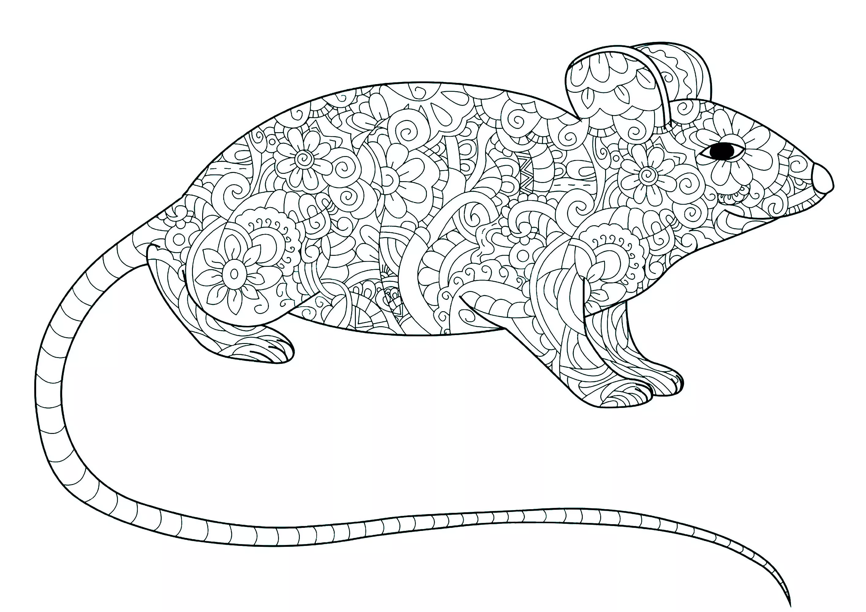Souris à la longue queue (Coloriage à imprimer pour enfants)