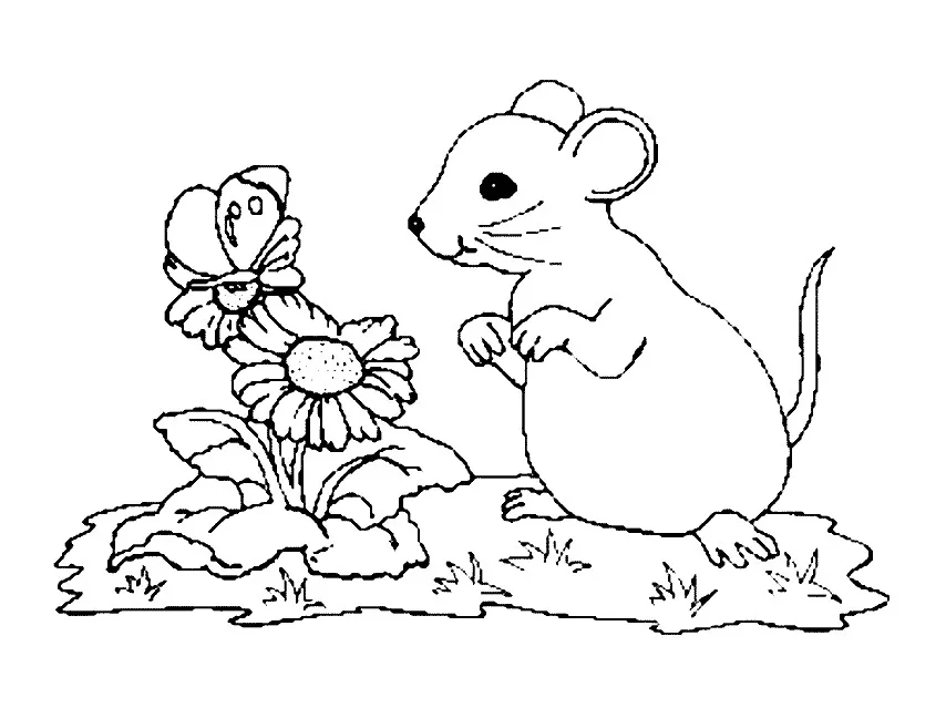 Image de souris à imprimer et colorier