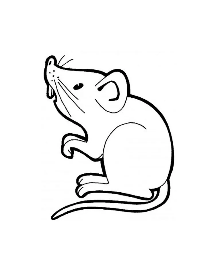 Coloriage de souris à imprimer