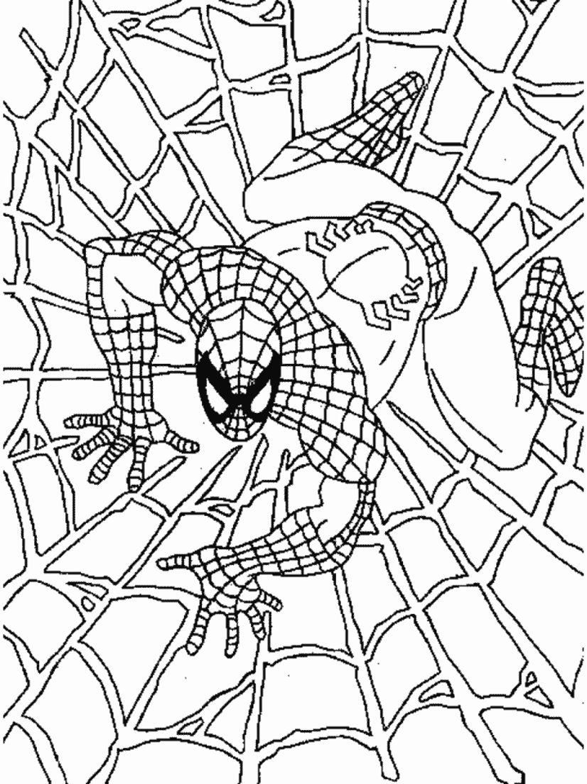Spiderman dans sa toile