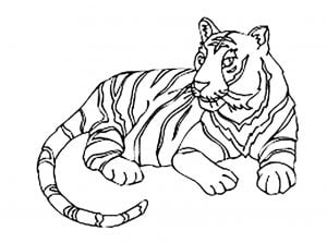 Coloriage de tigre à imprimer pour enfants