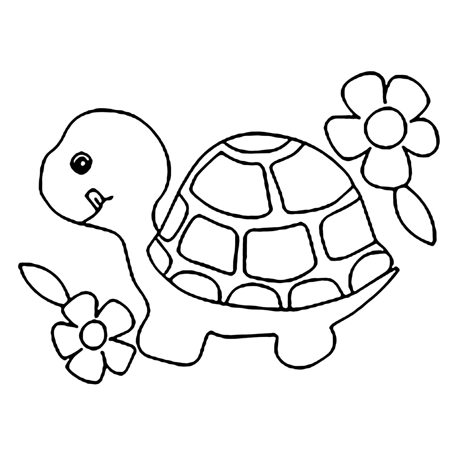 Coloriage amusant de tortue à imprimer et colorier
