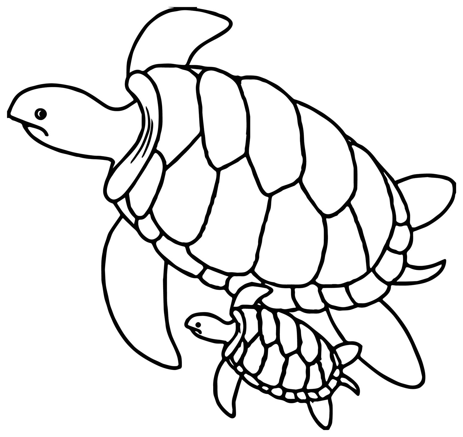Dessin de tortue à imprimer et à colorier