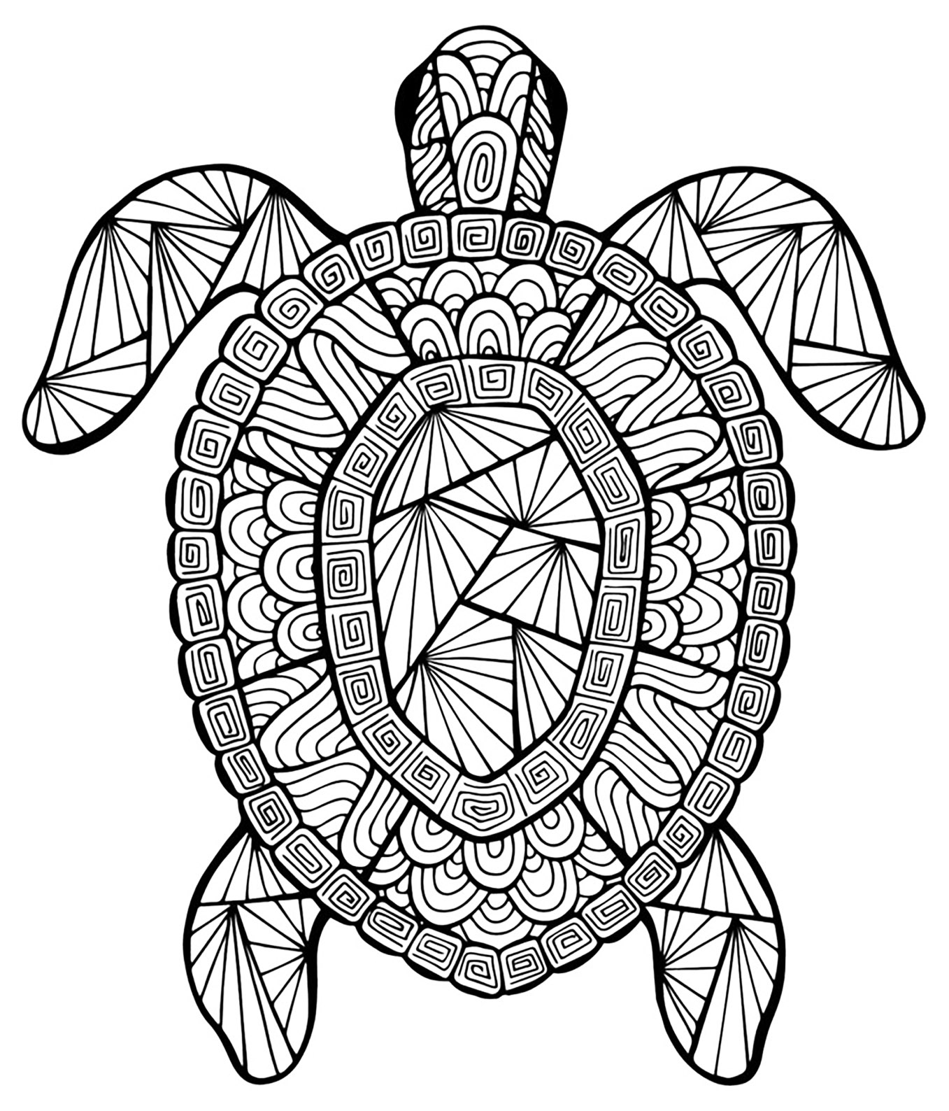 Une tortue aux motifs complexes, à imprimer et colorier