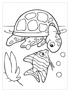 Coloriage de tortue à colorier pour enfants