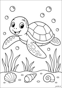 Petite tortue marine