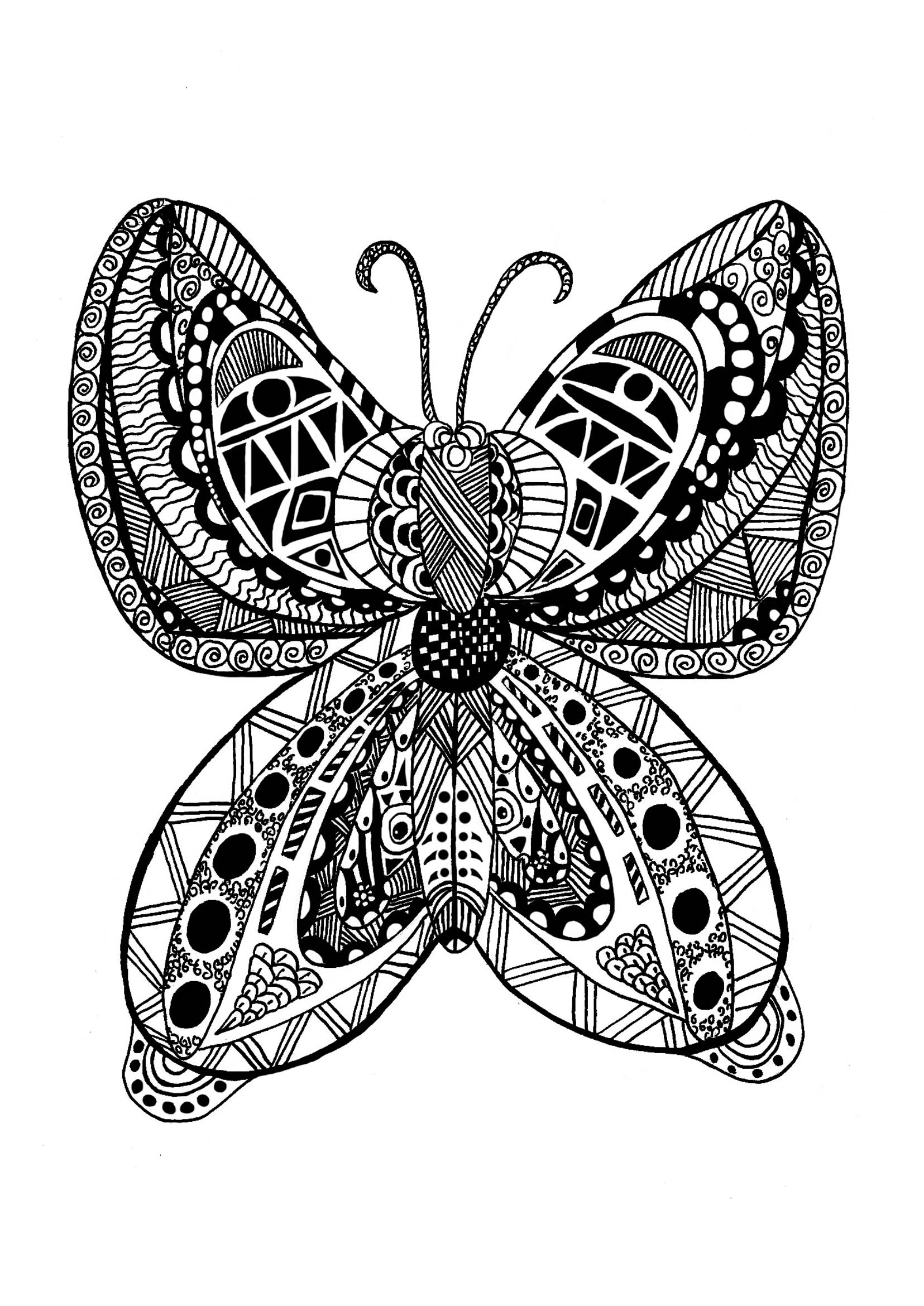 Superbe papillon avec motifs Zentangle