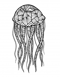 Coloriage zentangle meduse par meggichka