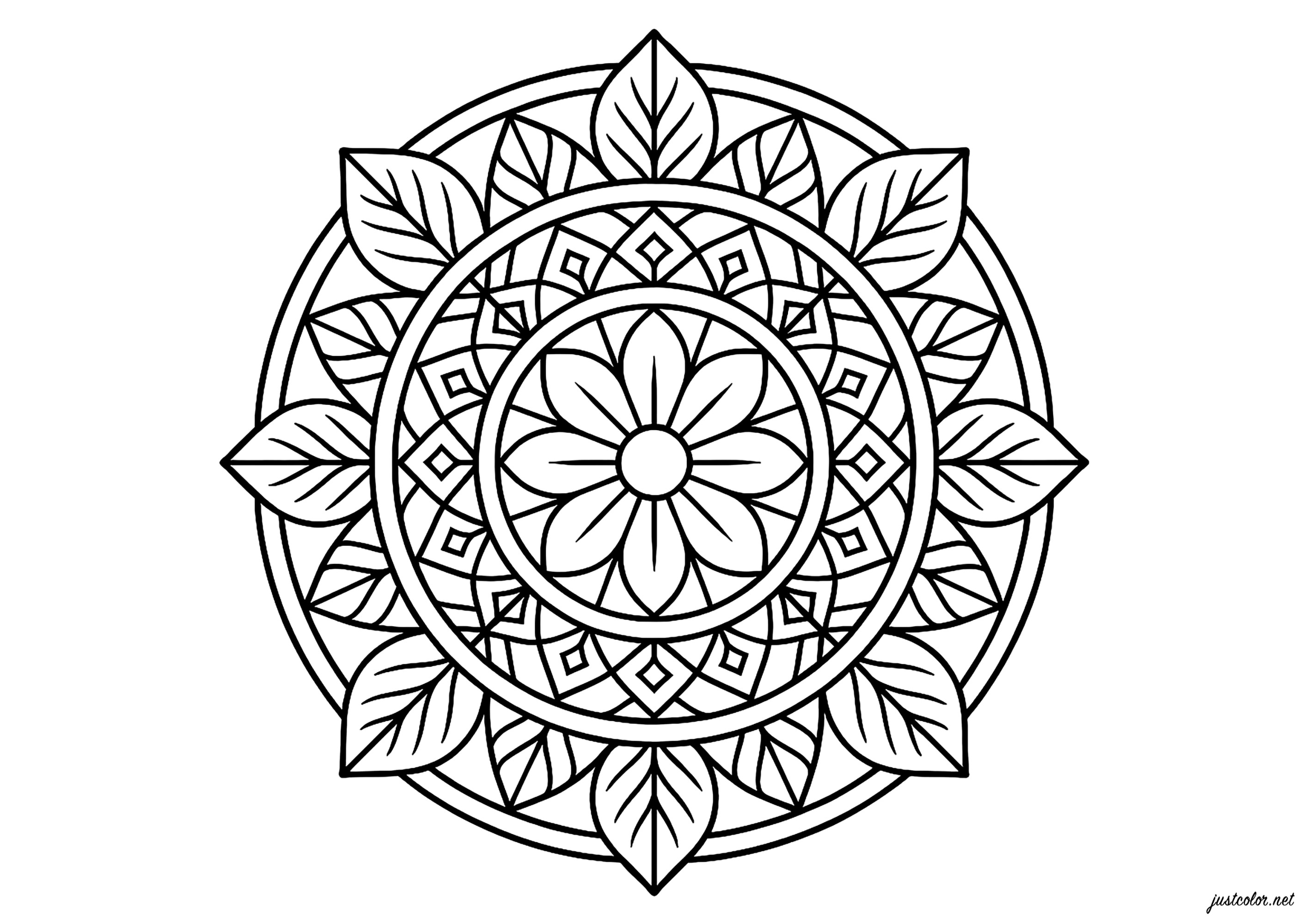 花曼陀罗 (供儿童打印的彩页 : 魔法填色书)