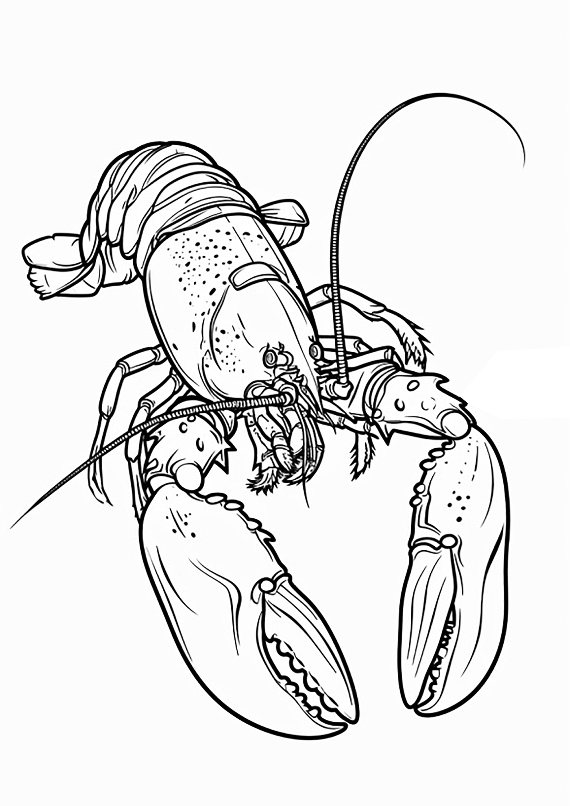 超级龙虾填色画 (供儿童打印的彩页 : 龙虾)