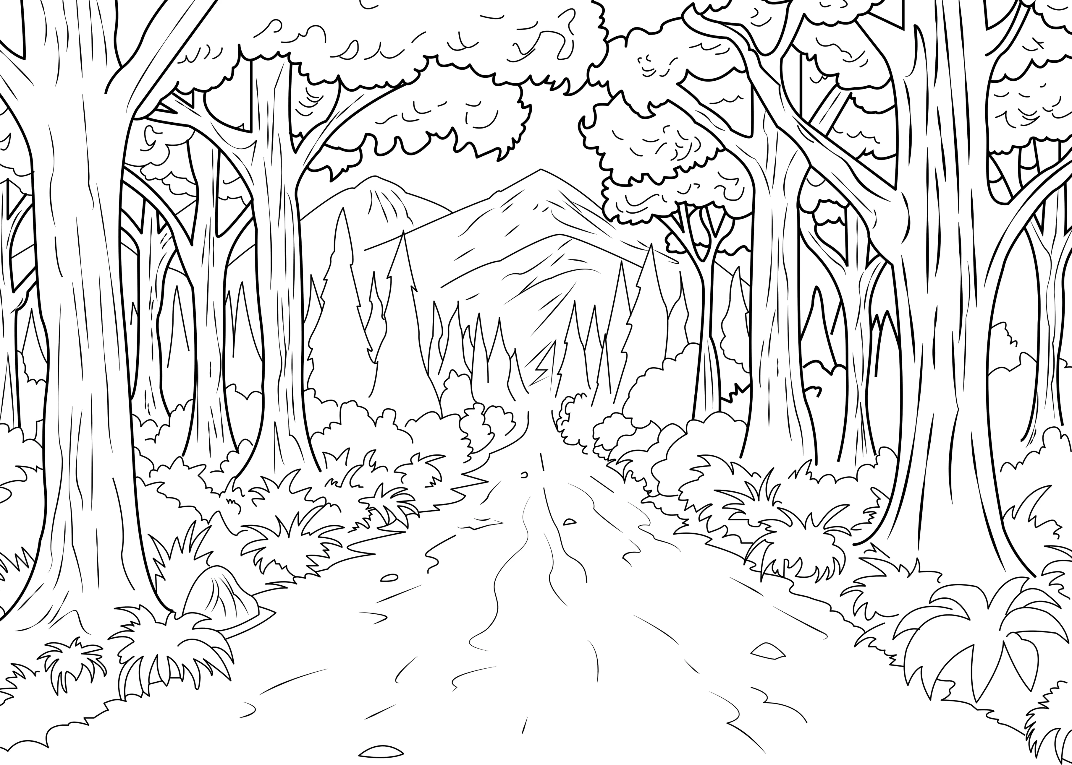 Colorear para adultos selva y bosque - 1 (Página para imprimir para adultos)