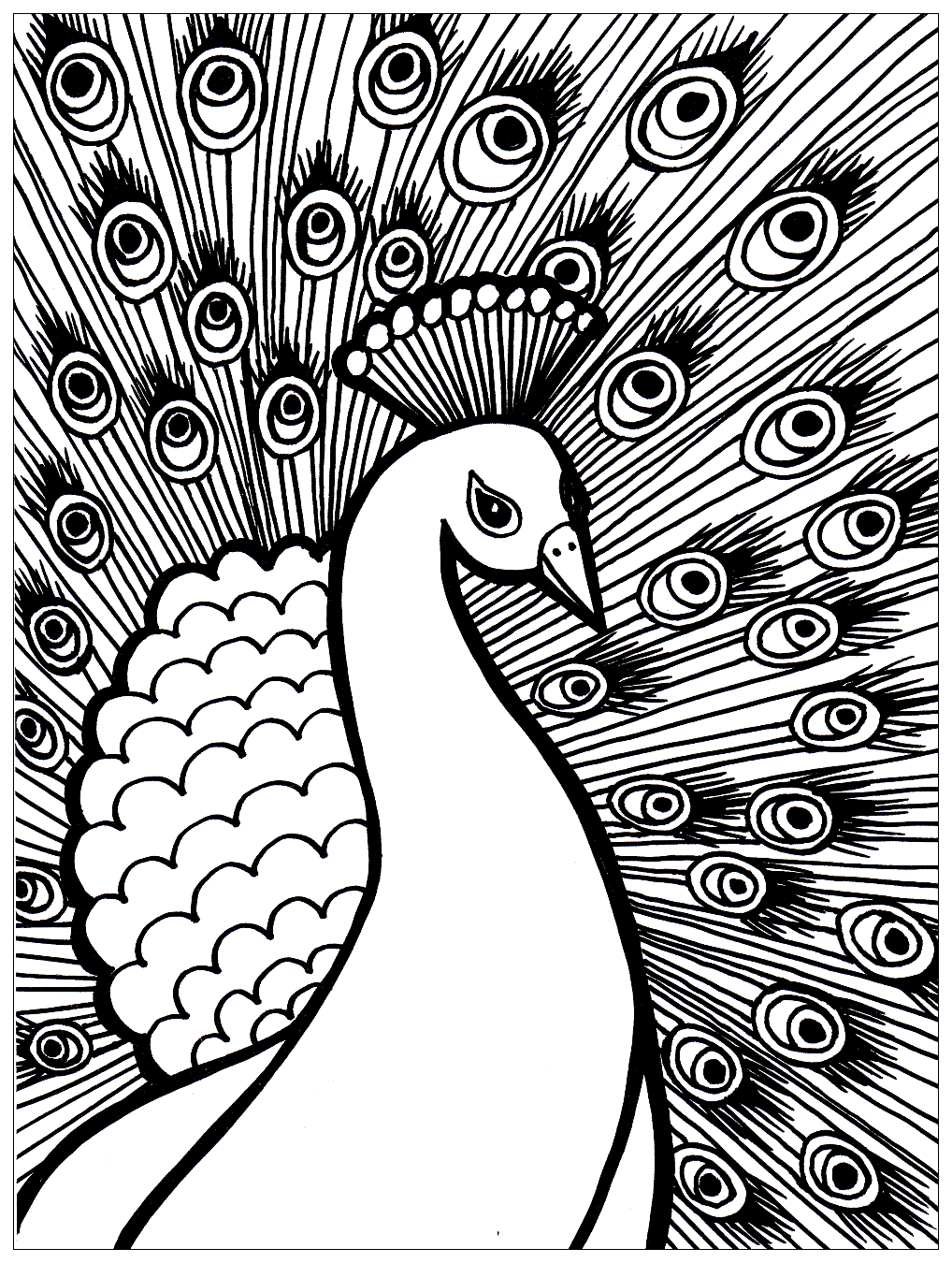 Colorear para adultos pavos reales - 10154 (Página para imprimir para adultos)